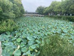-仓山金山寺