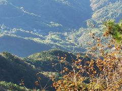 -罗田薄刀峰风景区