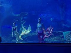 -多彩贵州城极地海洋世界