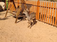 -郑州方特梦幻王国