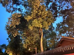 -成都武侯祠博物馆