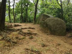 -火炉山森林公园