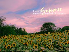 -奥林匹克森林公园北园-停车场