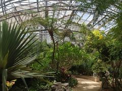 -南山植物园