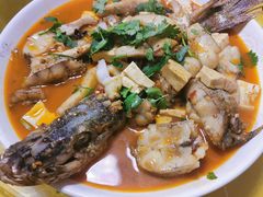 -煲来饱去冷水鱼