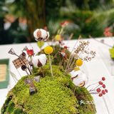 🌲🌱🍃#JNBY温室创意展