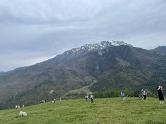 -硗碛藏寨·神木垒景区