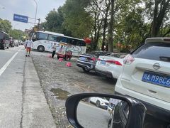 -都江堰中华大熊猫苑