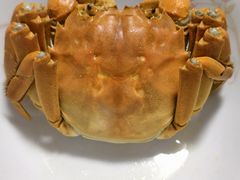 -阳澄湖大闸蟹·琼灵阁牌品牌连锁(吴中总店)