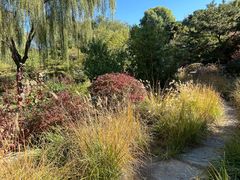 -燕郊植物园