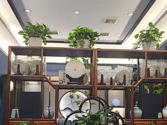 -东湖印象汉寿特色甲鱼钵子菜(渔人码头店)