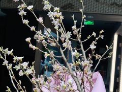 -帝京日语(春熙路旗舰校区)