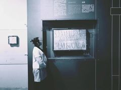 -盘龙城国家考古遗址公园