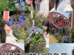 -人民公园(罗湖区)