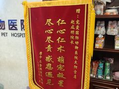-宠爱国际动物医院·疑难骨科·心肾内科·皮肤科(太阳宫店)
