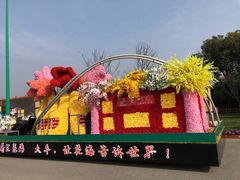 -荷兰花海