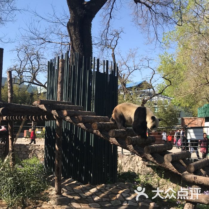 北京動物園