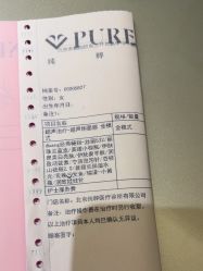 -纯粹医美