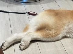 -YCHL Studios健身工作室(市二宫店)