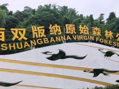 -西双版纳原始森林公园