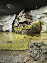 -Zoolung Zoolung动物主题公园(海信广场店)