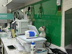 -瑞派动物医院·猫专科·至诚(江南中分院)