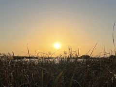 -苏州太湖湖滨国家湿地公园