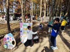 -上海海湾国家森林公园