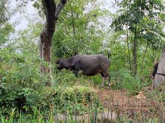 -茅山东方盐湖城景区