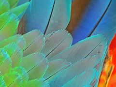 -碧中海汤泉汗蒸酒店