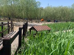 -西青郊野公园