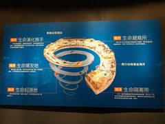 -贝林大翅鲸简餐厅(国家海洋博物馆店)