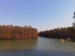 -上海海湾国家森林公园