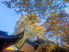 -灵谷景区