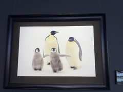 -罗红摄影艺术馆