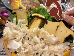 -朱光玉火锅馆(正弘城店)