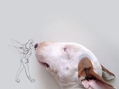 -八哥美术·成人美术画室(总校区)