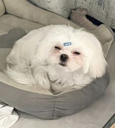 -Oasis Beauty水磨坊科技美肤中心