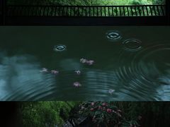 -望江楼公园
