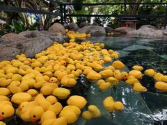 -湖泉半山温泉(湖泉生态园)