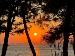 -晶荷轩(香港迪士尼乐园酒店)