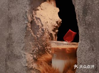 超级治愈的魔都熊爪咖啡终于来杭州啦