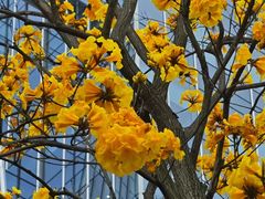 -龙湖重庆时代天街