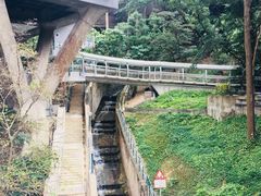 -香港大学