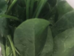 菠菜-绿轩厨房(于洪广场店)