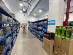 -逝水玩具折扣店