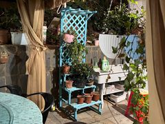 -鱼乐岛餐厅·户外花园主题餐厅