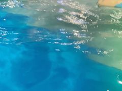 -杭州浪浪浪水公园