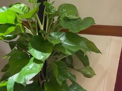 -春盛渔府(牛首山店)