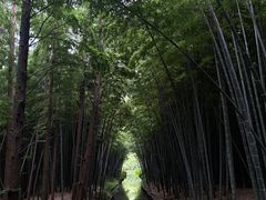 -同里国家湿地公园